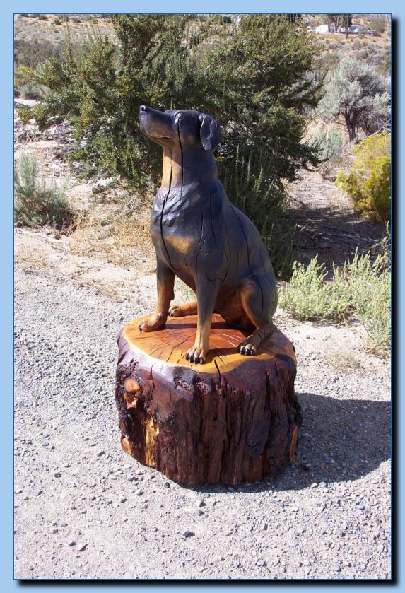 2-54 dog-rottweiler-archive-0007